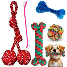 Pet Toys
